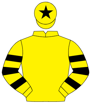 YELLOW, yellow & black hooped sleeves, black star on cap                                                                                              