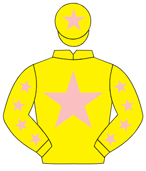 YELLOW, pink star, pink stars on sleeves, pink star on cap