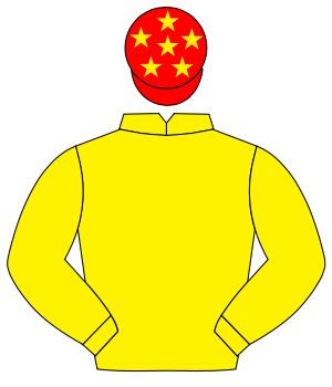 YELLOW, red cap, yellow stars