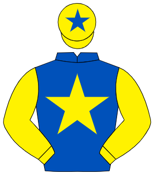ROYAL BLUE, yellow star & sleeves, yellow cap, royal blue star