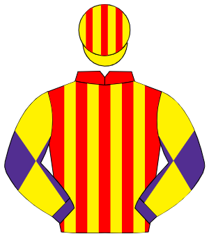 RED & YELLOW STRIPES, purple sleeves, yellow diabolo, yellow & red striped cap
