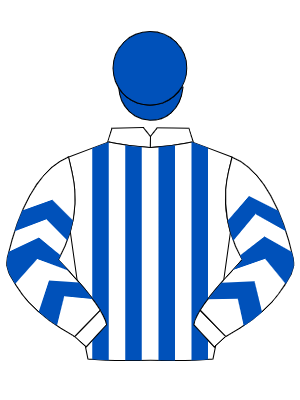 WHITE & ROYAL BLUE STRIPES, chevrons on sleeves, royal blue cap