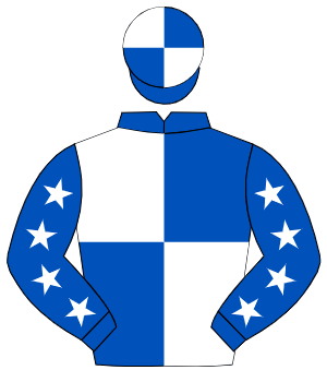 ROYAL BLUE & WHITE QUARTERED, white stars on sleeves, quartered cap