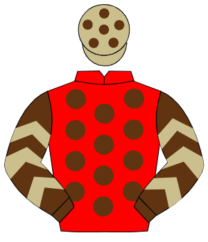 RED, brown spots, brown sleeves, beige chevrons, beige cap, brown spots