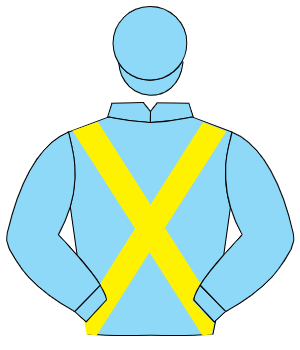 BLUE, yellow cross sashes, blue cap