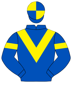 ROYAL BLUE, yellow chevron, yellow armlet, quartered cap