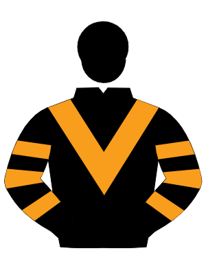 BLACK, orange chevron, hooped sleeves