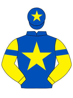 ROYAL BLUE, yellow star, yellow sleeves, royal blue armlets, royal blue cap, yellow star