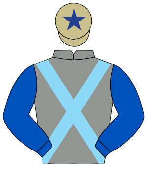 GREY, light blue cross sashes, royal blue sleeves, beige cap, dark blue star