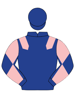 DARK BLUE, pink epaulettes, diabolo on sleeves