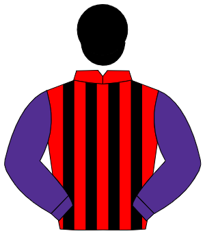 RED & BLACK STRIPES, purple sleeves, black cap