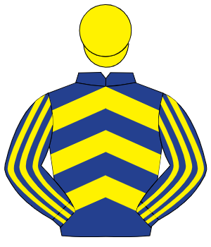 DARK BLUE & YELLOW CHEVRONS, striped sleeves, yellow cap