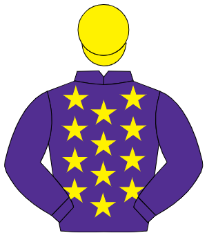 PURPLE, yellow stars, purple sleeves, yellow cap