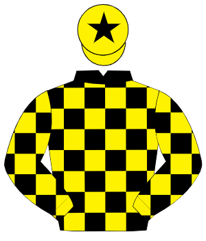 BLACK & YELLOW CHECK, yellow cap, black star