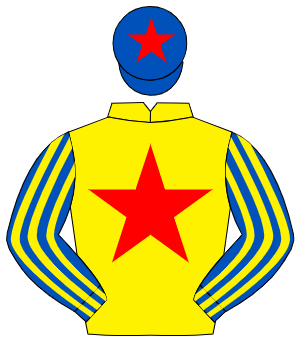 YELLOW, red star, royal blue & yellow striped sleeves, royal blue cap, red star