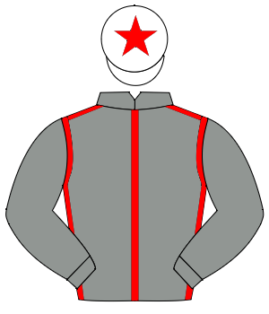 GREY, red seams, grey sleeves, white cap, red star