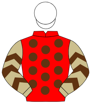 RED, brown spots, beige sleeves, brown chevrons, white cap