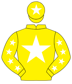 YELLOW, white star, white stars on sleeves, white star on cap