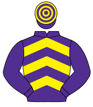 PURPLE & YELLOW CHEVRONS, purple sleeves, hooped cap