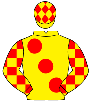 YELLOW, large red spots, check sleeves, yellow cap, red diamonds                                                                                      