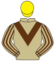 BEIGE, brown chevron, striped sleeves, yellow cap                                                                                                     