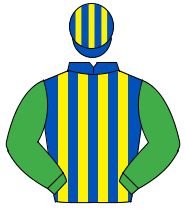 ROYAL BLUE & YELLOW STRIPES, emerald green sleeves, blue & yellow striped cap                                                                         