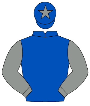 ROYAL BLUE, grey sleeves, royal blue cap, grey star                                                                                                   