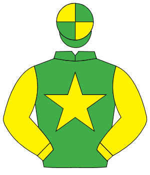 EMERALD GREEN, yellow star & sleeves, quartered cap                                                                                                   