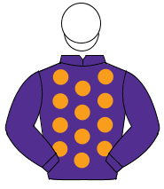 PURPLE, orange spots, purple sleeves, white cap                                                                                                       