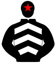 BLACK & WHITE CHEVRONS, black sleeves, black cap, red star                                                                                            