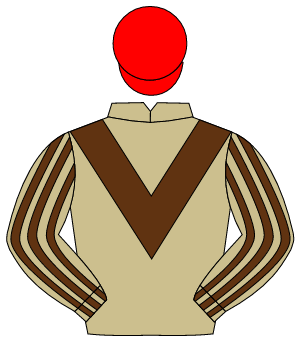 BEIGE, brown chevron, striped sleeves, red cap                                                                                                        