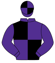 PURPLE & BLACK QUARTERED, purple sleeves, quartered cap                                                                                               