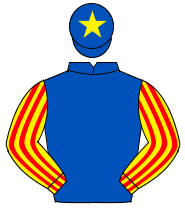 ROYAL BLUE, yellow & red striped sleeves, royal blue cap, yellow star                                                                                 