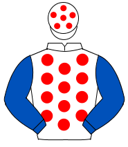 WHITE, red spots, royal blue sleeves, white cap, red spots                                                                                            
