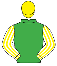 EMERALD GREEN, white & yellow striped sleeves, yellow cap                                                                                             