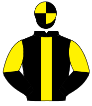BLACK, yellow panel, halved sleeves, quartered cap                                                                                                    