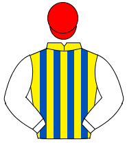 YELLOW & ROYAL BLUE STRIPES, white sleeves, red cap                                                                                                   