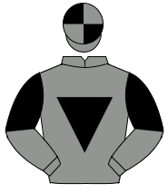 GREY, black inverted triangle, halved sleeves, quartered cap                                                                                          