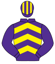 PURPLE & YELLOW CHEVRONS, purple sleeves, striped cap                                                                                                 