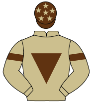 BEIGE, brown inverted triangle & armlet on sleeves, brown cap, beige stars                                                                            