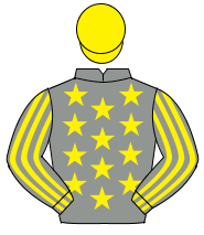 GREY, yellow stars, striped sleeves, yellow cap                                                                                                       