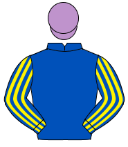 ROYAL BLUE, royal blue & yellow striped sleeves, mauve cap                                                                                            
