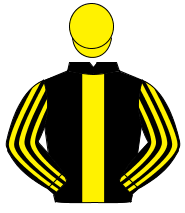 BLACK, yellow panel, striped sleeves, yellow cap                                                                                                      