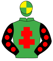 EMERALD GREEN, red cross of lorraine, black sleeves, red spots, emerald green & yellow quartered cap                                                  