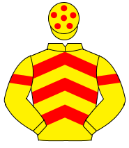 YELLOW & RED CHEVRONS, red armlet, yellow cap, red spots                                                                                              