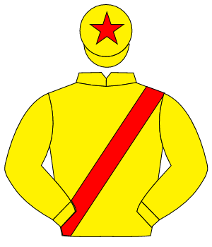 YELLOW, red sash, red star on cap                                                                                                                     