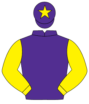 PURPLE, yellow sleeves, purple cap, yellow star                                                                                                       