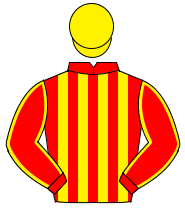 RED & YELLOW STRIPES, yellow seams on sleeves, yellow cap                                                                                             