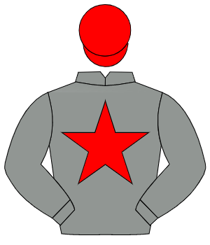 GREY, red star, red cap                                                                                                                               