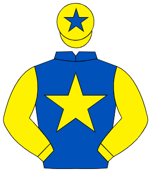 ROYAL BLUE, yellow star & sleeves, yellow cap, royal blue star                                                                                        